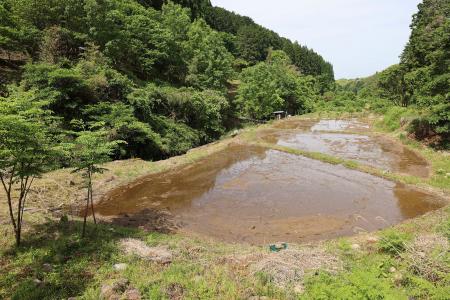 熊本県上益城郡益城町において湿地再生活動を開始 熊本県上益城郡益城町において湿地再生活動を開始