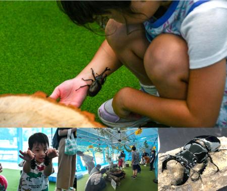 見て、触れて、知る。体感型イベント「カブトムシハウ