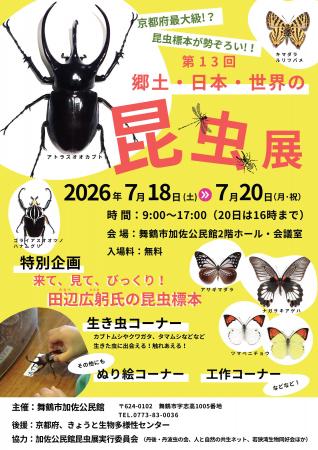 舞鶴市で7月18日から国内外の昆虫標本5千点を展示する 舞鶴市で7月18日から国内外の昆虫標本5千点を展示する
