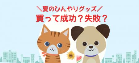 買って成功or後悔?飼い主が選ぶ!夏のペット“ひんや 買って成功or後悔?飼い主が選ぶ!夏のペット“ひんや