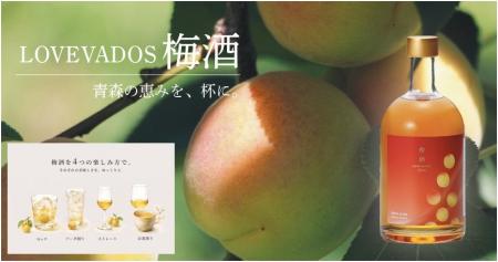 青森「モホドリ蒸留研究所」が製造「LOVEVADOS 梅酒」 青森「モホドリ蒸留研究所」が製造「LOVEVADOS 梅酒」