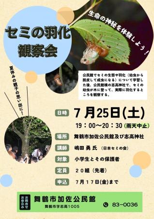 夏の夜の神秘をのぞいてみよう！加佐公民館「セミの羽