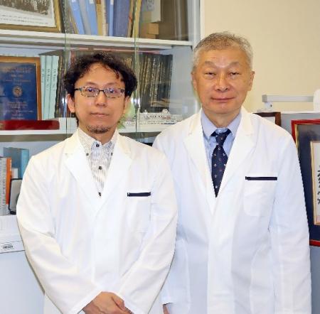 死細胞を除去するしくみを利用した新しい免疫治療法の 死細胞を除去するしくみを利用した新しい免疫治療法の