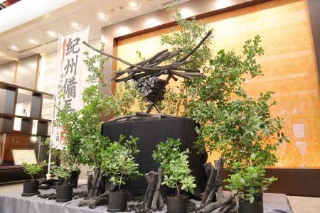 【ホテルグランヴィア和歌山】和歌山が誇る伝統の技を