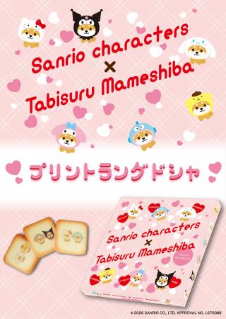 サンリオキャラクターズと旅するマメしばのコラボレー サンリオキャラクターズと旅するマメしばのコラボレー