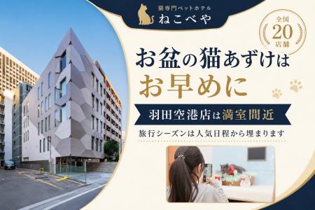 旅行シーズンの“猫あずけ”は、空港から満室に。猫専門 旅行シーズンの“猫あずけ”は、空港から満室に。猫専門