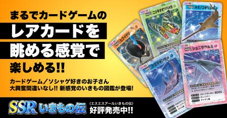 カードゲーム・ソシャゲ好きのお子さん大興奮間違いな カードゲーム・ソシャゲ好きのお子さん大興奮間違いな