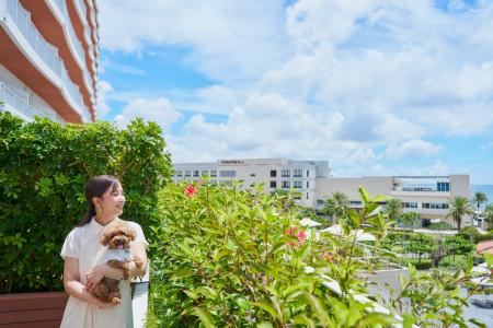 【ヒルトン沖縄北谷リゾート】愛犬と叶えるリゾートス