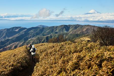 国内有数のトレイルランニングイベント「IZU TRAIL Jo 国内有数のトレイルランニングイベント「IZU TRAIL Jo