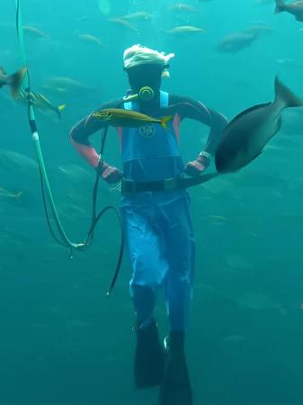 【下田海中水族館】まるっと定置網展企画第 2弾「漁師 【下田海中水族館】まるっと定置網展企画第 2弾「漁師