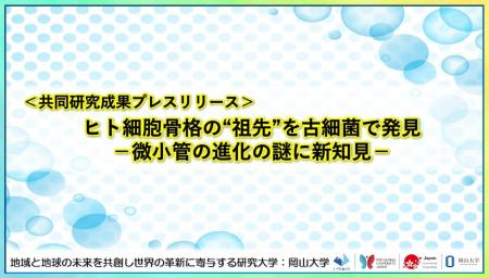 ヒト細胞骨格の“祖先”を古細菌で発見-微小管の進化の
