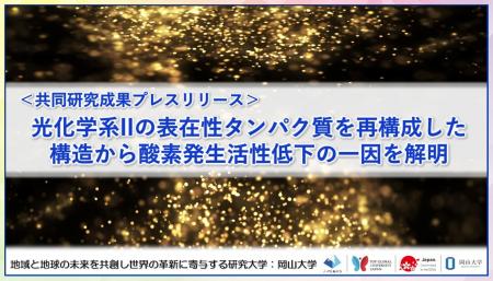 光化学系IIの表在性タンパク質を再構成した構造から酸