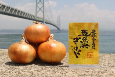 ちりめんじゃこで育てた「淡路島玉葱 五色浜ゴールド