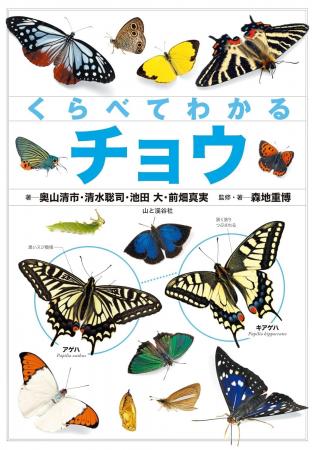 似ているチョウも写真でくらべることで、よくわかる！