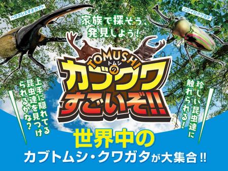夏休みは「触れて学べる昆虫体験」へ 体験型イベント 夏休みは「触れて学べる昆虫体験」へ 体験型イベント