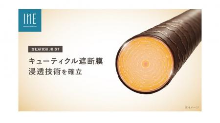 自社研究所 JBIST、イオン液体技術を用いた「キューテ