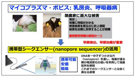 【酪農学園大学】獣医学類・臼井優教授らの研究utf-8