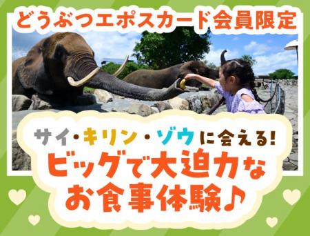 「好き」が“ごはん”になる瞬間を体験！どうぶつエポス