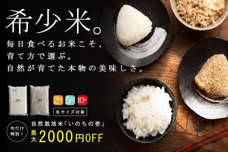 ファッションブランドantiqua、希少な自然栽培米『い