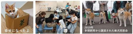 【静岡・藤枝】夏休みのしゅくだい手伝います 特別授