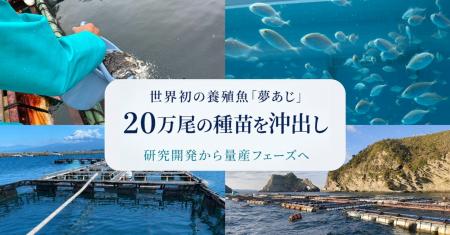 さかなドリーム、世界初の養殖魚「夢あじ」20万尾超の