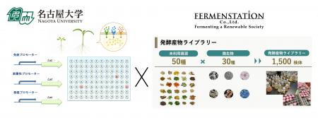 ファーメンステーション、名古屋大学とバイオスティミ