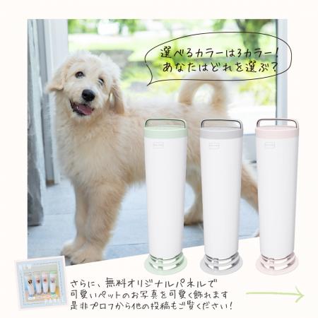 【緊急開催】夏のペット臭対策：エアコンで締め切った