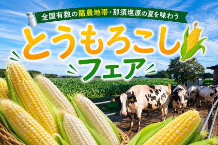 全国有数の酪農地帯・那須塩原の夏を味わう！道の駅「