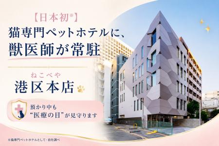 【日本初】猫専門ペットホテルに、獣医師が常駐。『ね