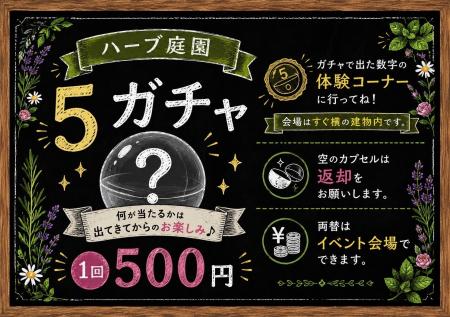 この夏、家族で楽しむ体験型イベントが盛りだくさん♪