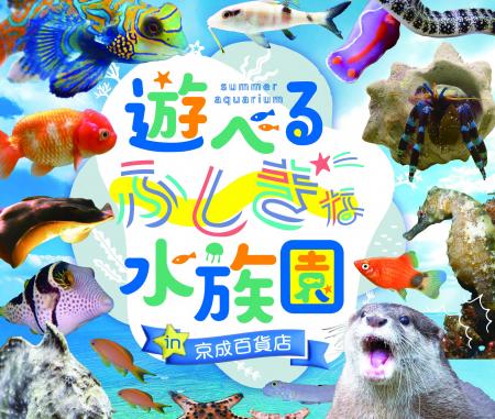 【7月31日～8月18日開催】夏休み・お盆休みは屋内で涼