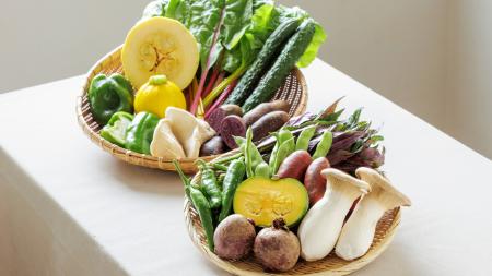 ユニークな野菜を詰め合わせた「おもしろ野菜セット」