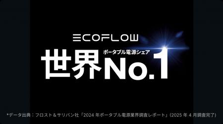 【新製品】軽量・高効率を両立した「EcoFlow 110W軽量