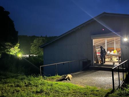 RDTA 国際救助犬ナイター試験 　１５ペア合格