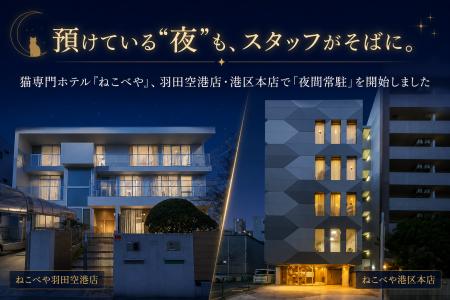 預けている“夜”も、スタッフがそばに。猫専門ホテル『