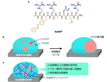 【横浜市立大学】マイクロ液滴を含む新流体材料utf-8
