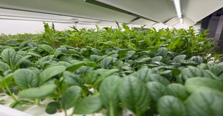 国内シェア8割の老舗マッチメーカー日東社、工場内で 国内シェア8割の老舗マッチメーカー日東社、工場内で
