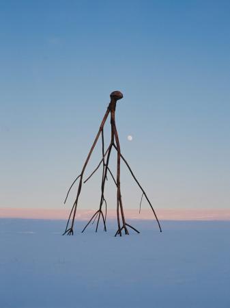 SIAF2027オープントーク「4人が紐解く『雪の惑星(プ SIAF2027オープントーク「4人が紐解く『雪の惑星(プ