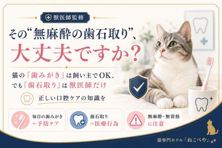 【獣医師監修】その“無麻酔の歯石取り”、大丈夫ですか 【獣医師監修】その“無麻酔の歯石取り”、大丈夫ですか