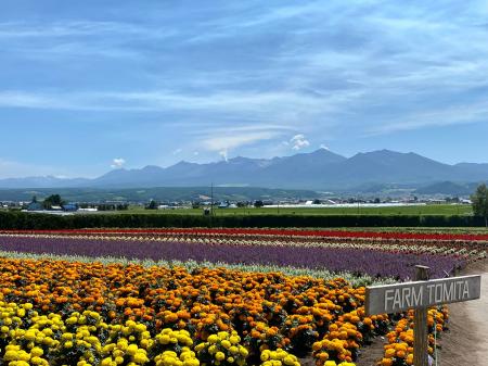 ラベンダーだけじゃない夏の富良野 ノゾホテルが提案