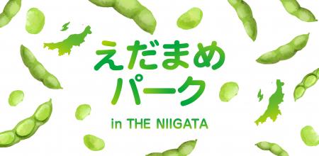 銀座にいながら、新潟の夏を満喫！「2026 えだまめパ