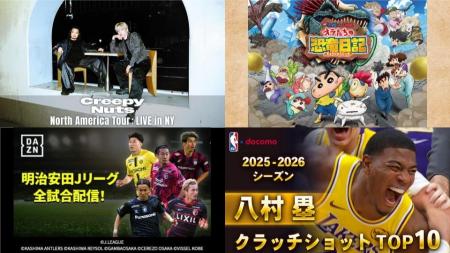 夏休み、今日は何に夢中になる?スポーツ、ライブに加 夏休み、今日は何に夢中になる?スポーツ、ライブに加