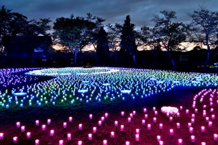 【新潟県小千谷市】イルミネーションイベント「オヂヤ