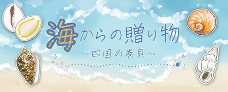 貝の魅力に触れてみませんか？四国水族館でミニ企画展
