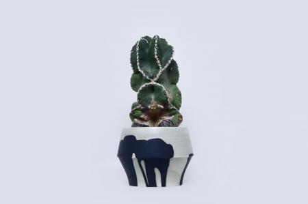 【CIBONE】叢と陶芸家・吉田直嗣による合同展「光を纏