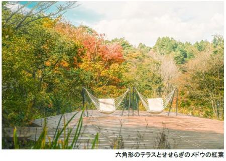 ROKKO森の音ミュージアム SIKIガーデンAutumn Season 