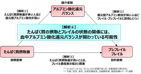 血中アルブミン酸化還元バランスがたんぱく質栄養状態