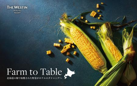 【ウェスティン ルスツリゾート】北海道産とうもろこ 【ウェスティン ルスツリゾート】北海道産とうもろこ