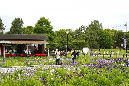 23区最大級の水郷公園『水元公園』で観光事業を公募