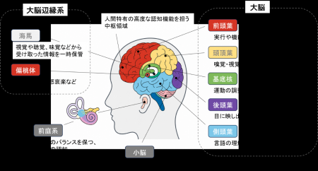 一般社団法人T-NEXT、MITS Technologiesと「卓球によ